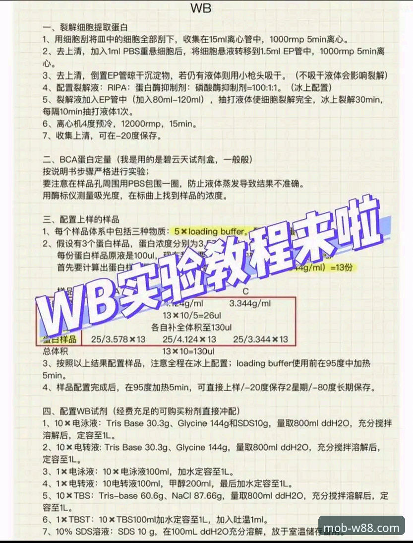 win88注册流程 w88优德手机版win88注册流程详细操作教程